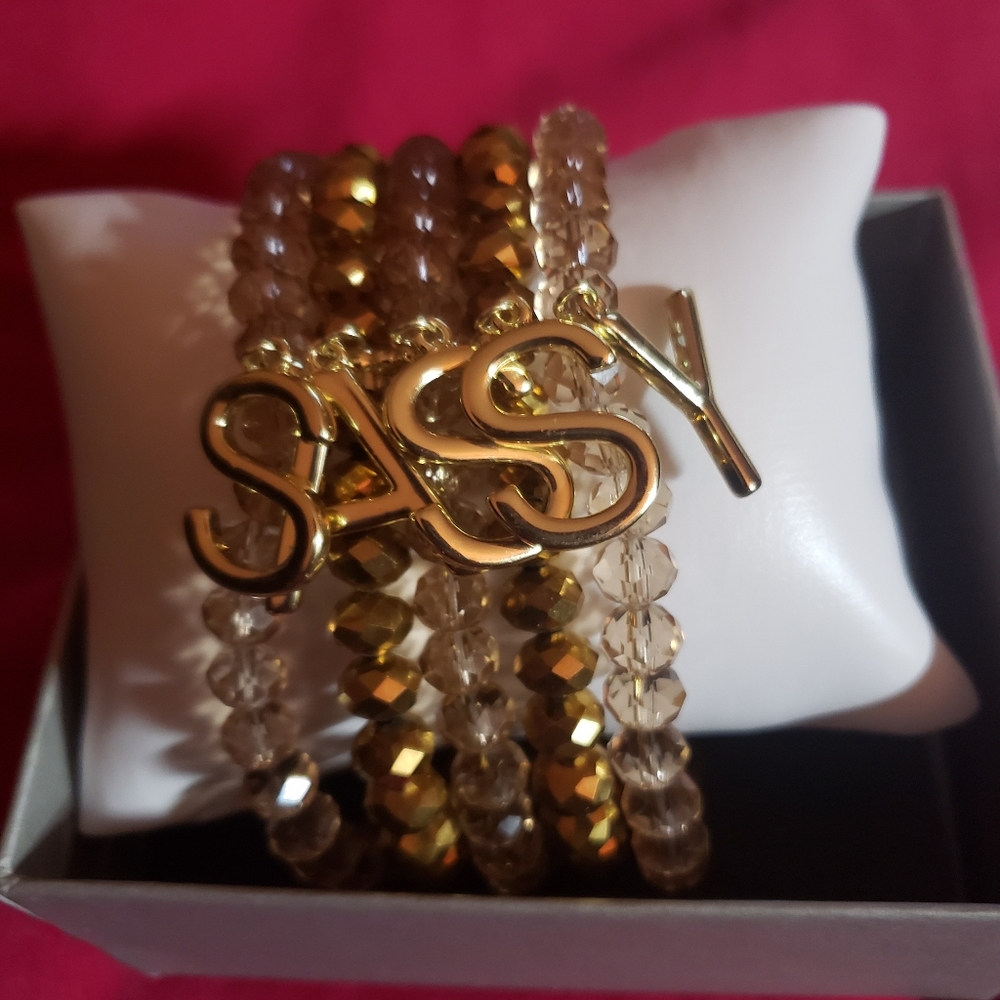 Sassy Charm Bracelet - Fits M/L - NEW
